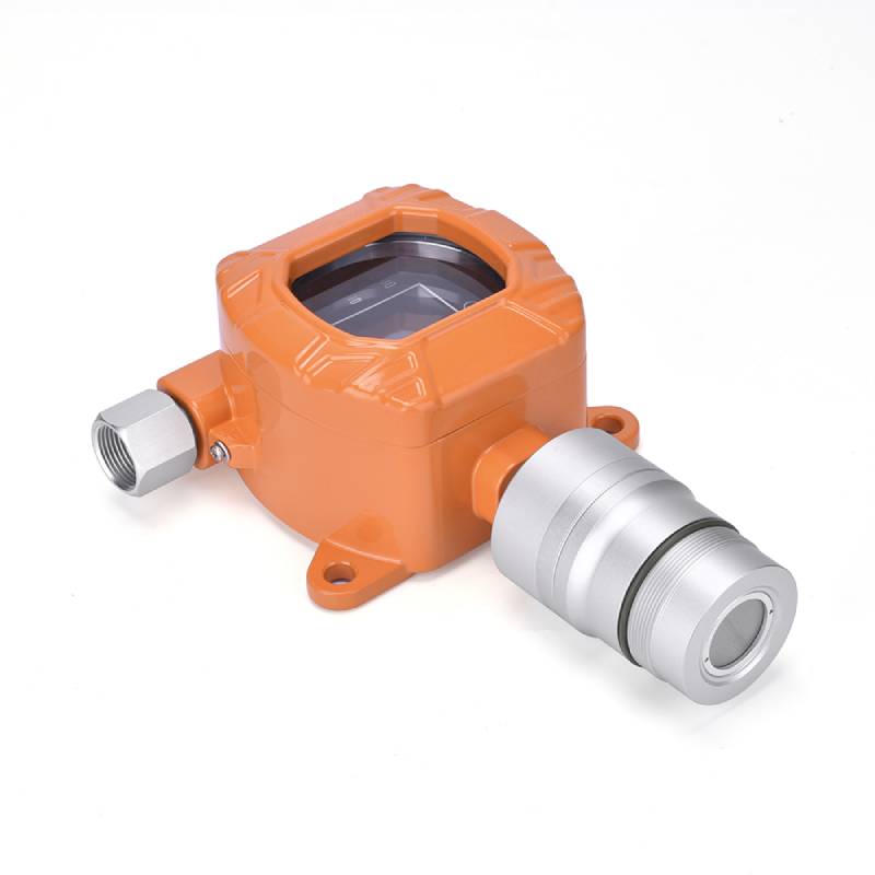 Wat zijn de voorzorgsmaatregelen bij het gebruik van een gasdetector?